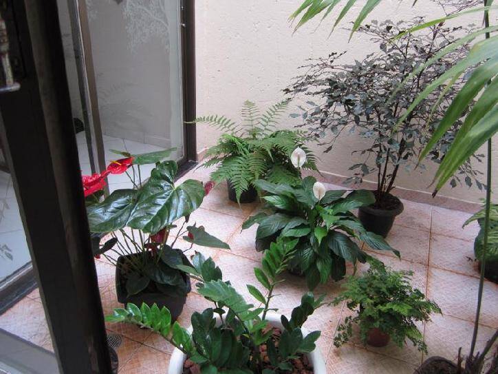 #VD 587 - Casa para Venda em Araguari - MG