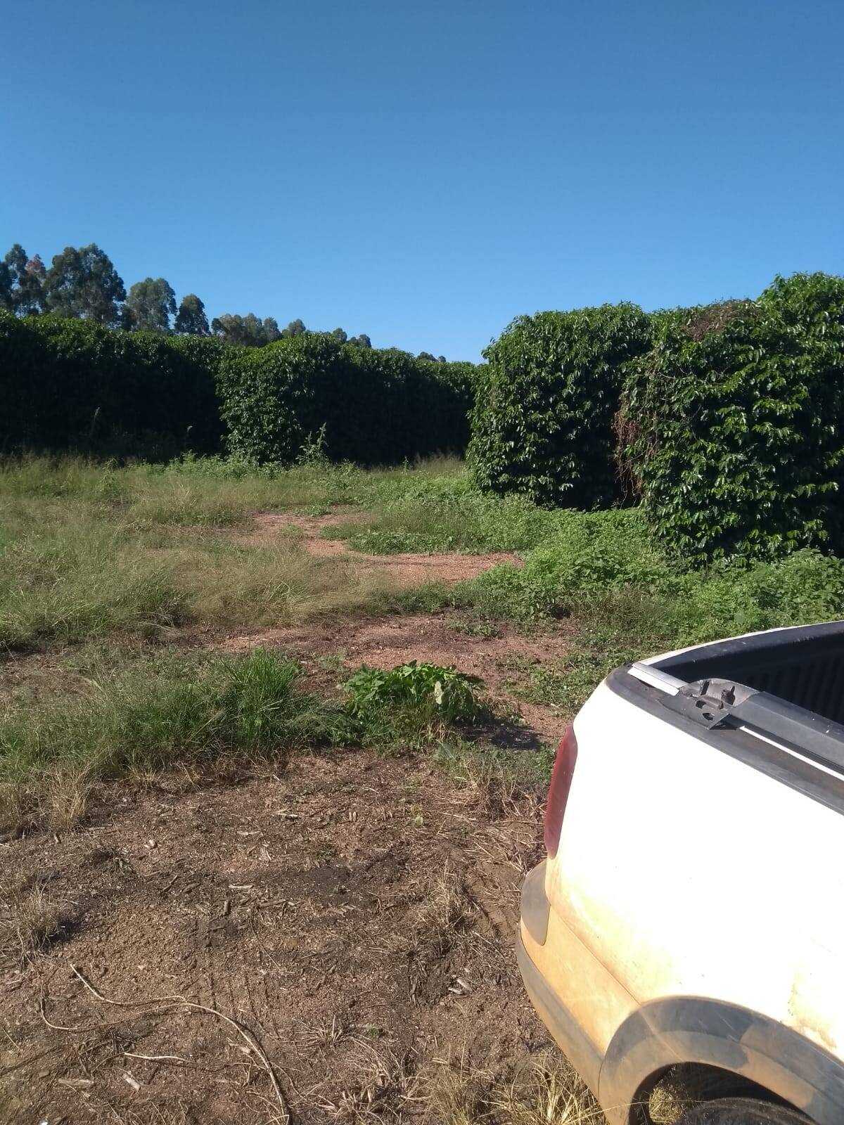 #VD 22105 - Fazenda para Venda em Araxá - MG