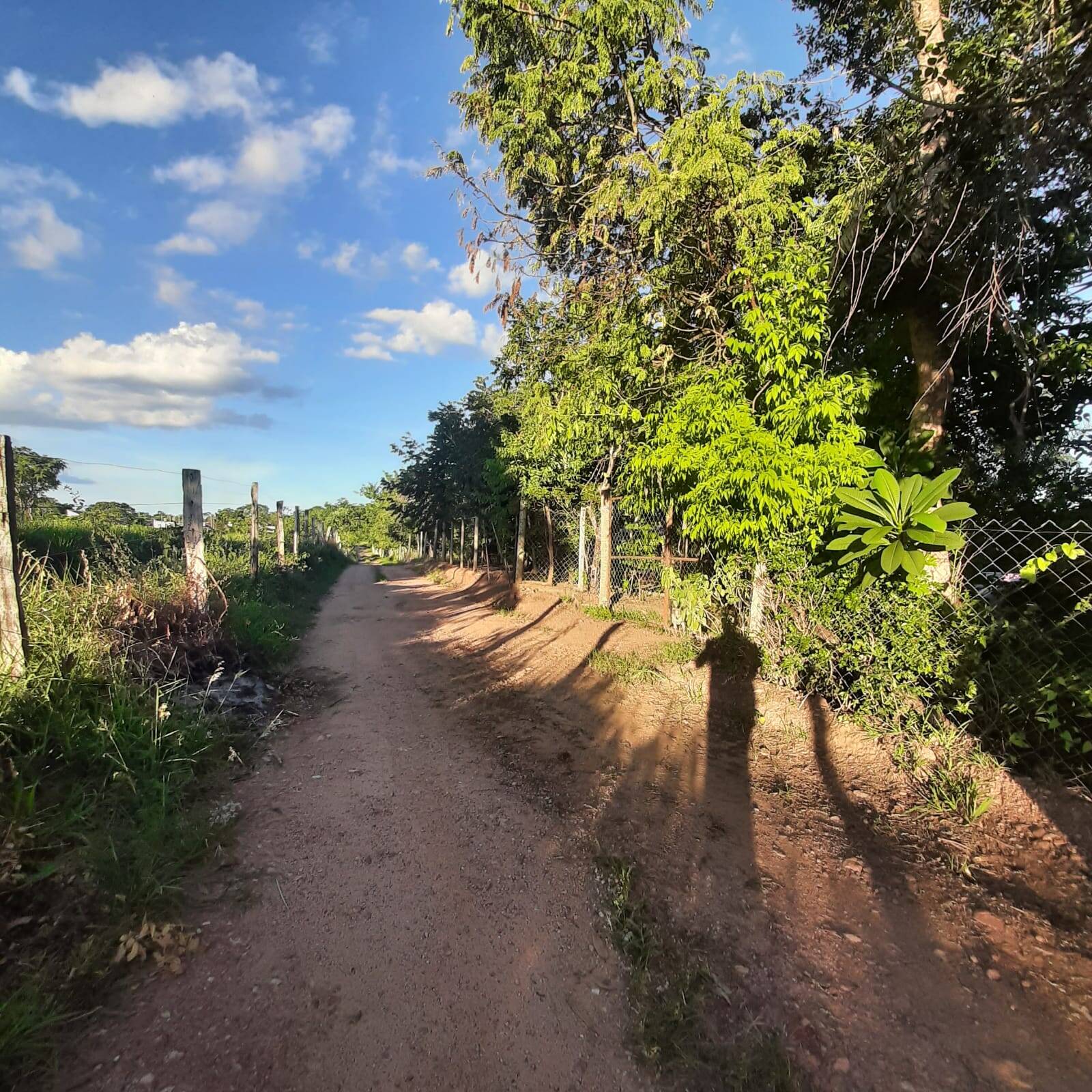 #VD 22188 - Chácara para Venda em Araguari - MG