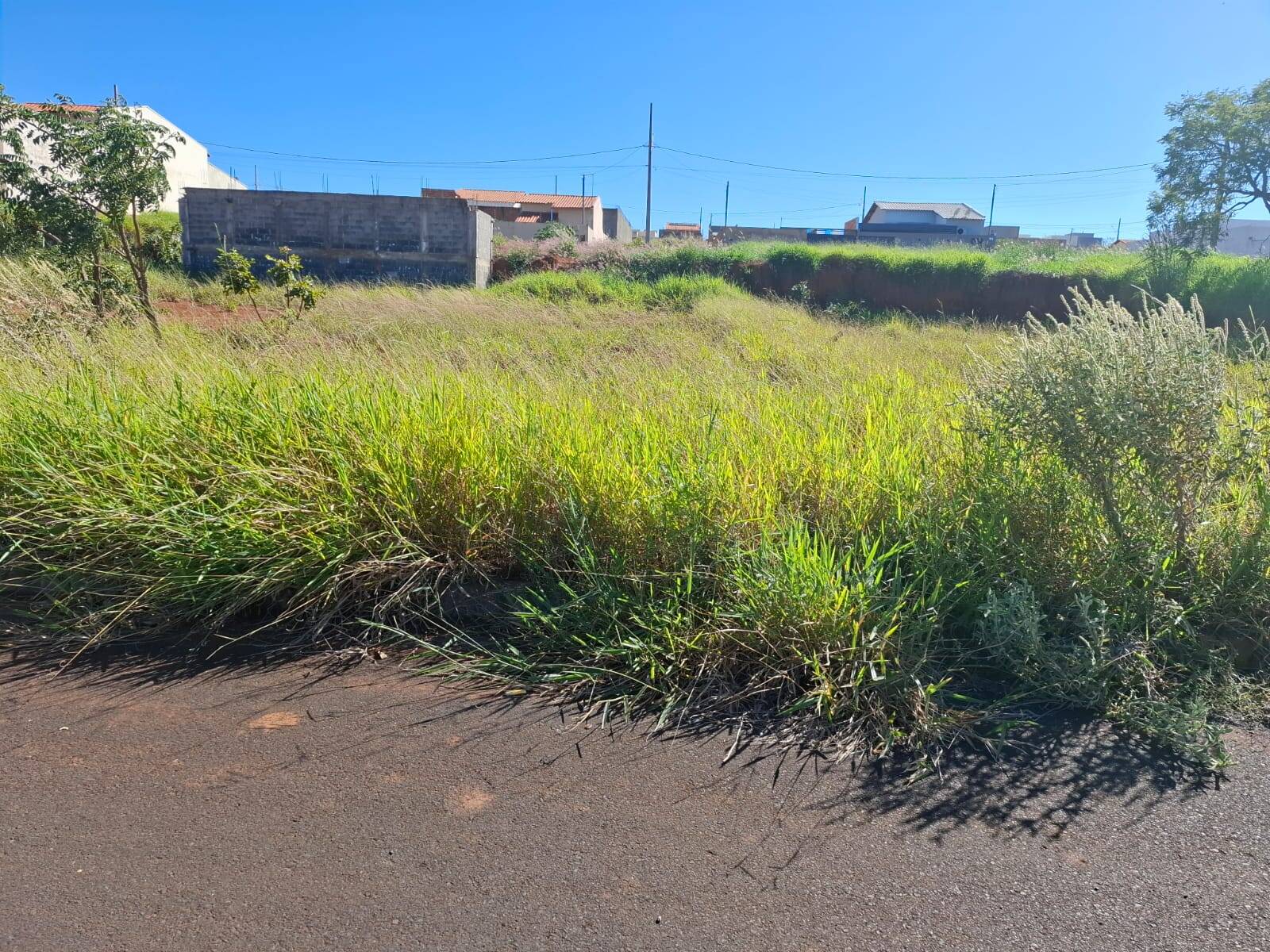 ##VD 22496 - Terreno para Venda em Araguari - MG