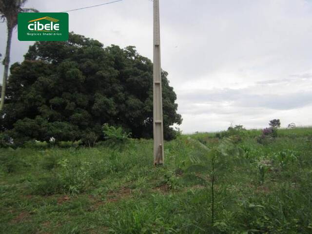 #VD 920 - Chácara para Venda em Araguari - MG - 2