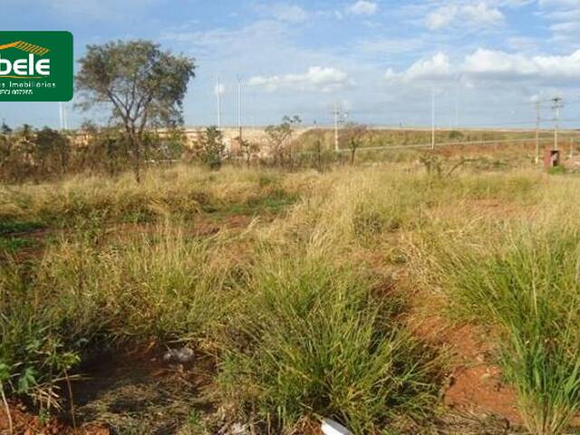 Terreno para Venda em Araguari - 2