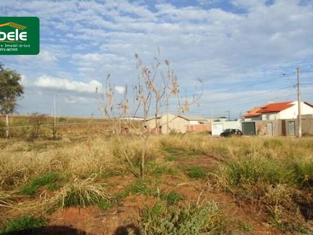 Terreno para Venda em Araguari - 3