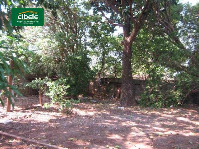 Casa para Venda em Araguari - 4
