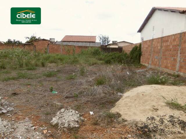 Terreno para Venda em Araguari - 3