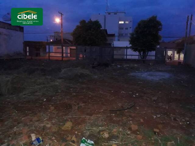 Área para Venda em Araguari - 4