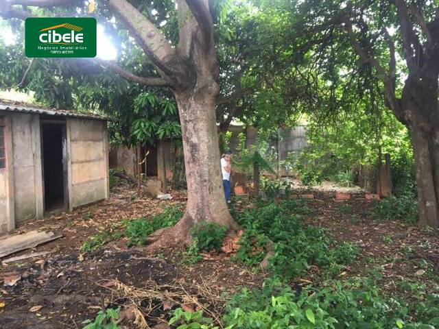 Casa para Venda em Araguari - 4