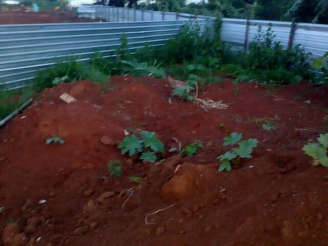 Área para Venda em Araguari - 5