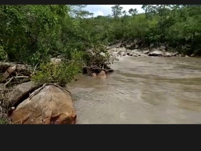 #VD 1611 - Fazenda para Venda em Crixás - GO - 1