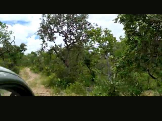 #VD 1611 - Fazenda para Venda em Crixás - GO - 2