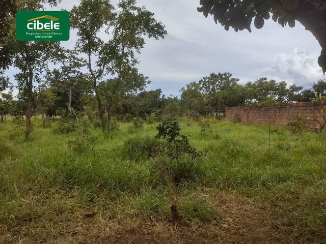 Área para Venda em Araguari - 3