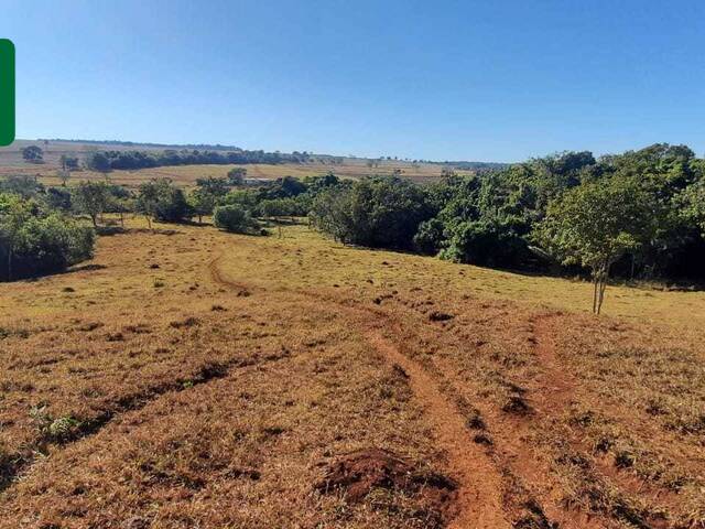 #VD 1977 - Chácara para Venda em Araguari - MG - 3