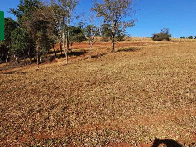 #VD 1977 - Chácara para Venda em Araguari - MG - 2