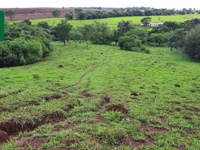 Chácara para Venda em Araguari - 4