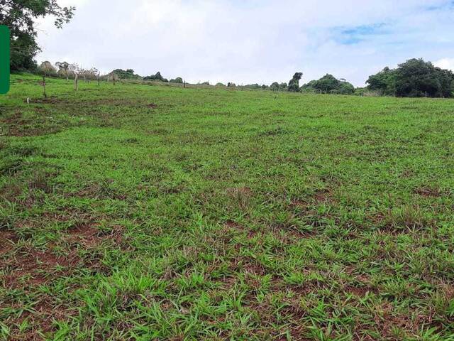 Chácara para Venda em Araguari - 5