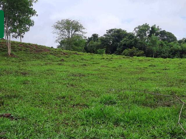#VD 1977 - Chácara para Venda em Araguari - MG - 1