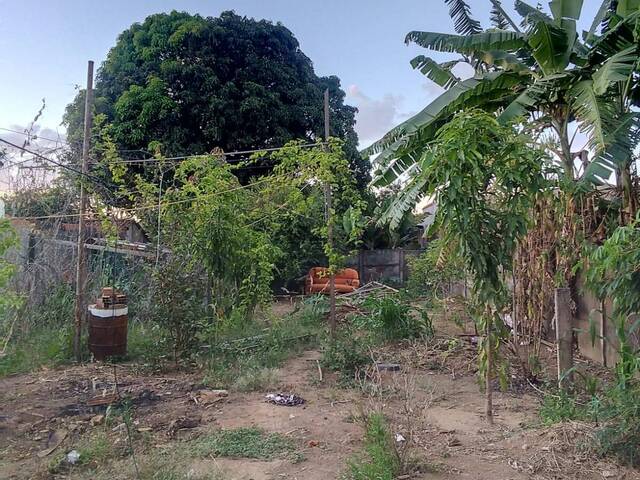 #VD 2009 - Área para Venda em Araguari - MG - 3