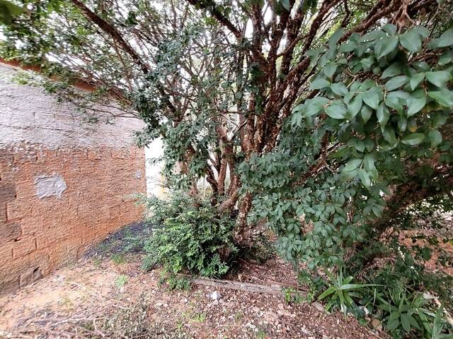 #VD 2179 - Casa para Venda em Araguari - MG