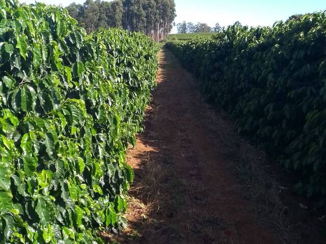 #VD 22105 - Fazenda para Venda em Araxá - MG - 3