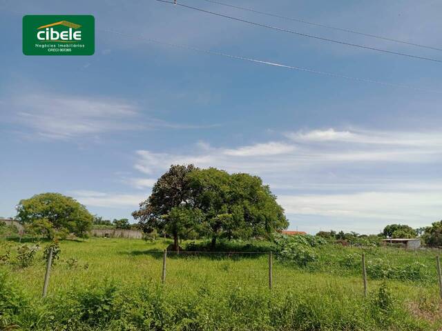 #VD 22108 - Chácara para Venda em Araguari - MG - 2
