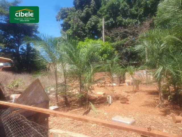 Área para Venda em Araguari - 4