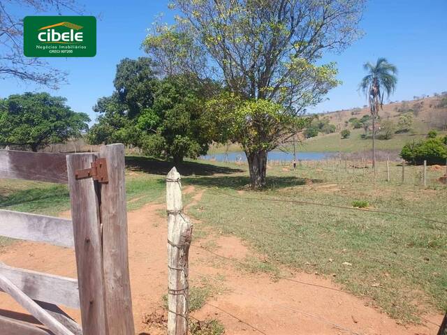 #VD 22245 - Fazenda para Venda em Araguari - MG - 3