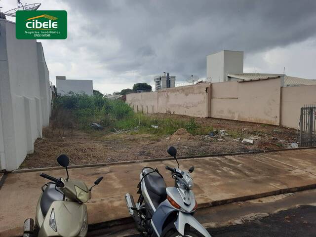 Terreno para Venda em Araguari - 4