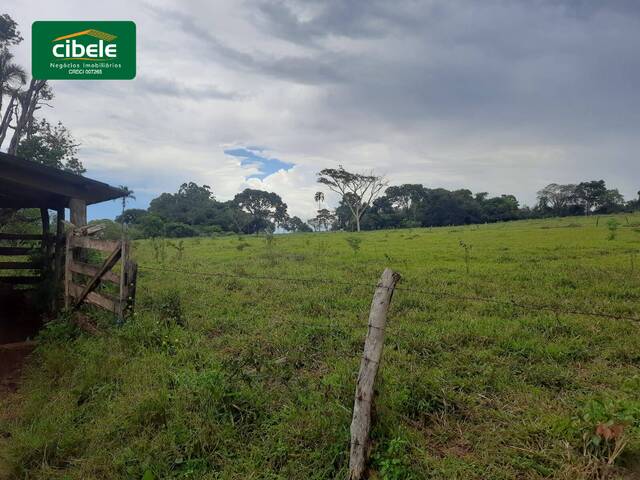 #VD 22395 - Sítio para Venda em Araguari - MG - 1