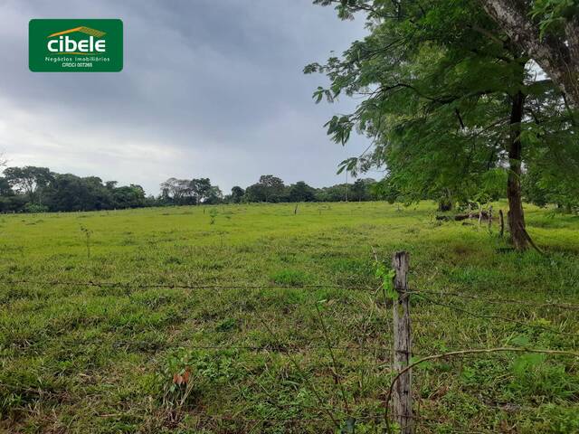 #VD 22395 - Sítio para Venda em Araguari - MG - 3