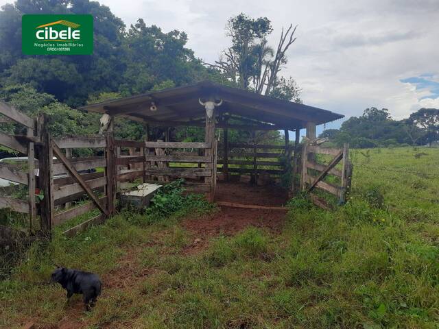 Sítio para Venda em Araguari - 4