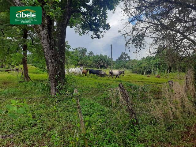 #VD 22395 - Sítio para Venda em Araguari - MG - 2