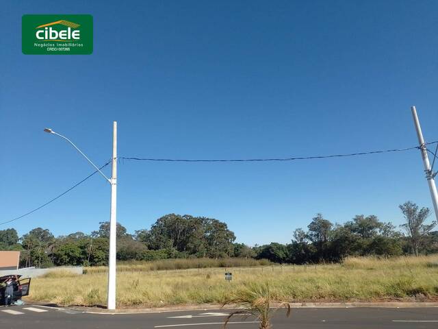 Terreno para Venda em Araguari - 5