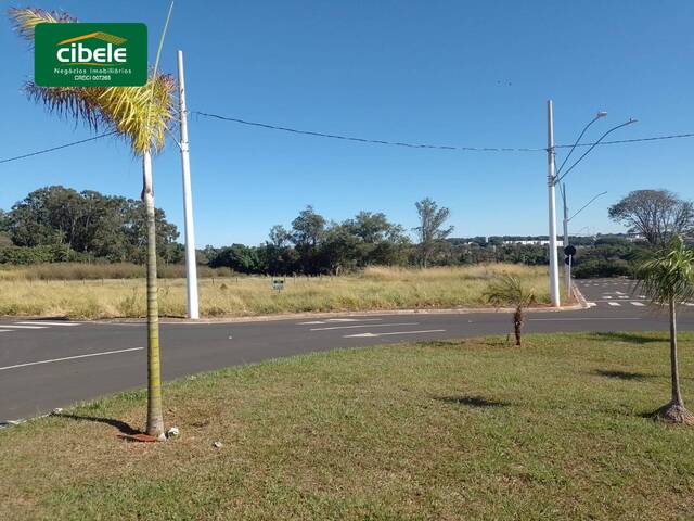 ##VD 22441 - Terreno para Venda em Araguari - MG - 3