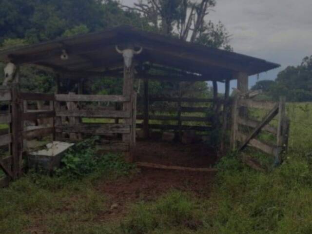 ##VD 22473 - Fazenda para Venda em Araguari - MG - 2