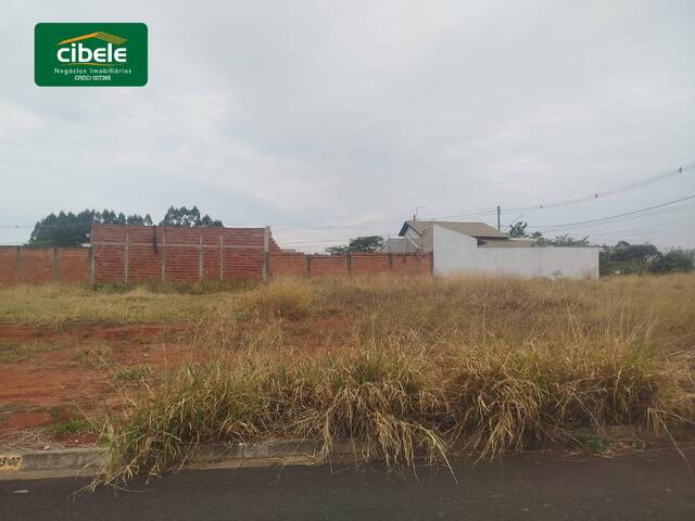 Terreno para Venda em Araguari - 4