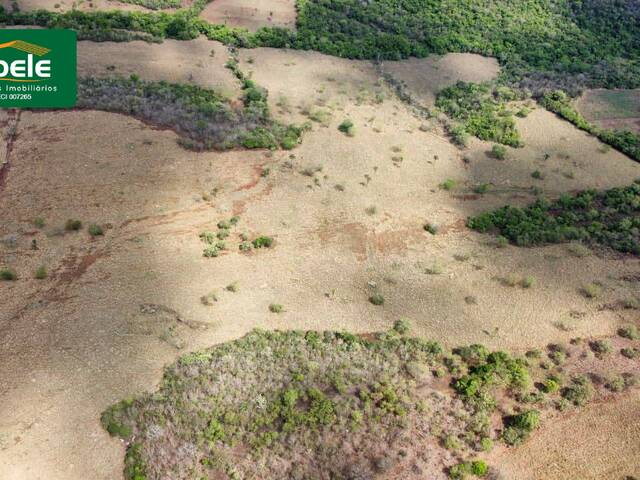 ##VD 22491 - Fazenda para Venda em Araguari - MG - 2