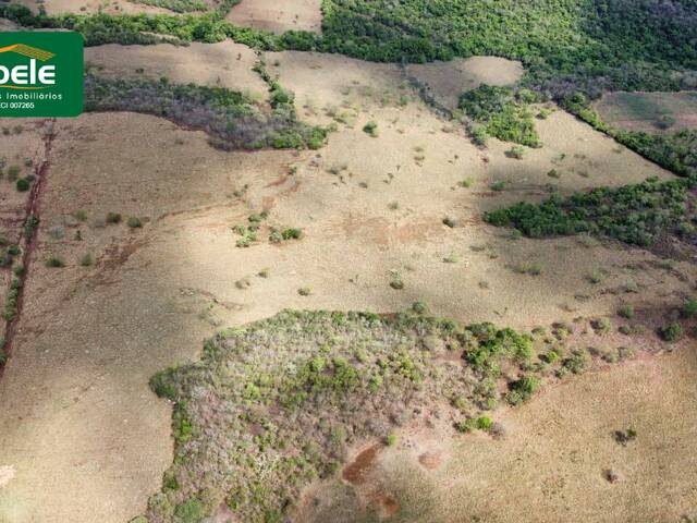 ##VD 22491 - Fazenda para Venda em Araguari - MG - 3
