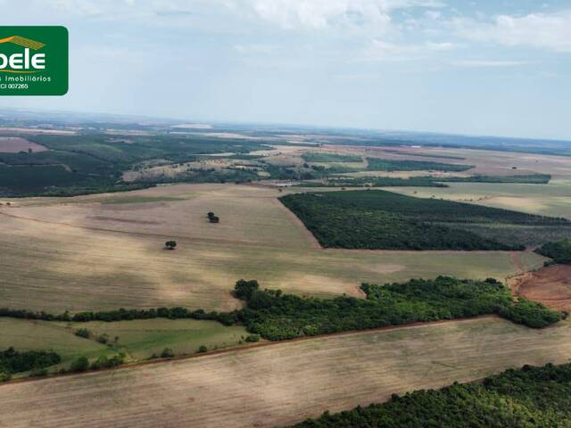##VD 22491 - Fazenda para Venda em Araguari - MG - 1