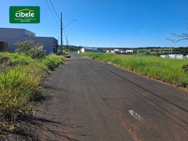 ##VD 22496 - Terreno para Venda em Araguari - MG - 3