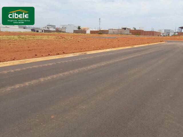 Terreno para Venda em Araguari - 4