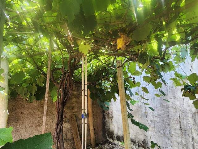 Terreno para Venda em Araguari - 5