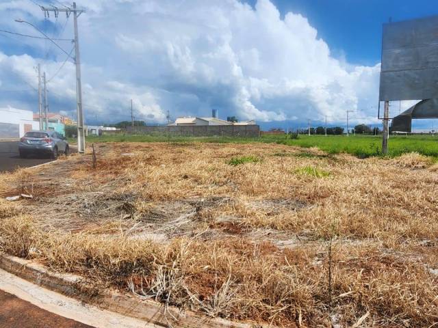 ##VD 22536 - Terreno para Venda em Araguari - MG - 3