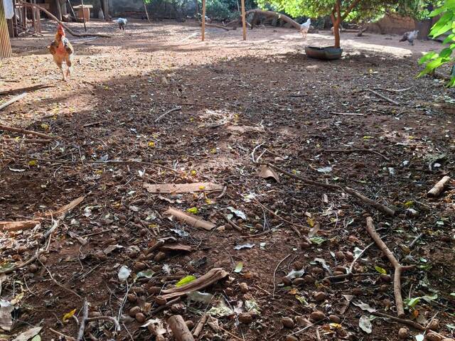 Terreno para Venda em Araguari - 4