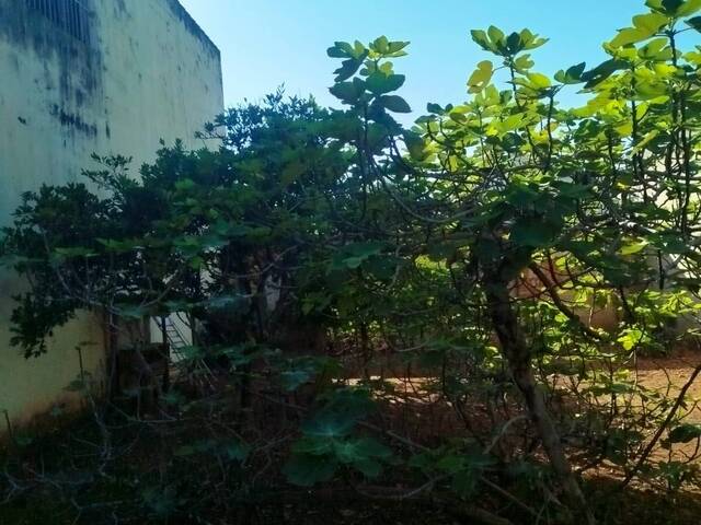 Casa para Venda em Araguari - 4