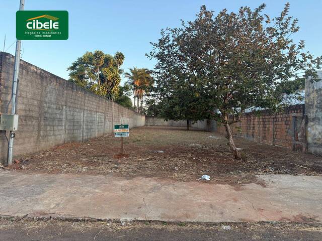 Terreno para Venda em Araguari - 4