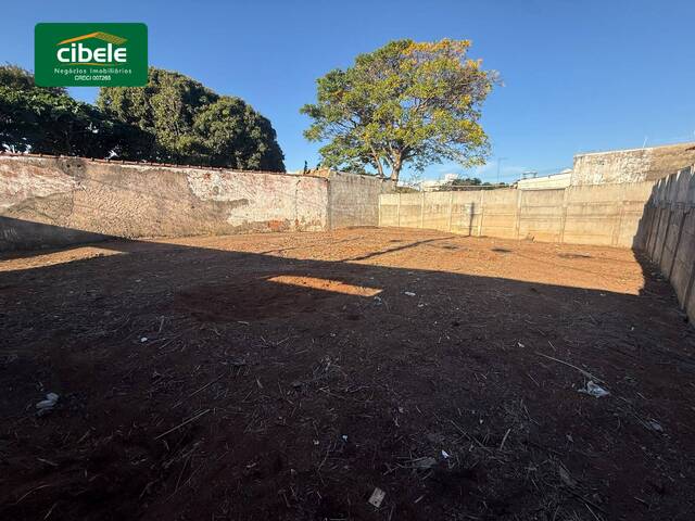 Terreno para Venda em Araguari - 4