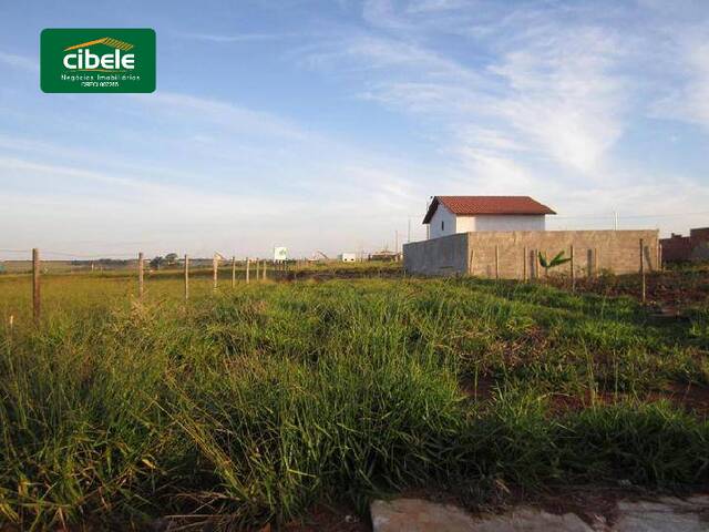 Terreno para Venda em Araguari - 2